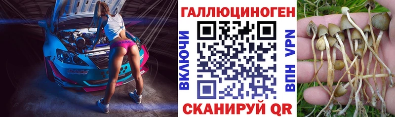 Галлюциногенные грибы Cubensis  Менделеевск 